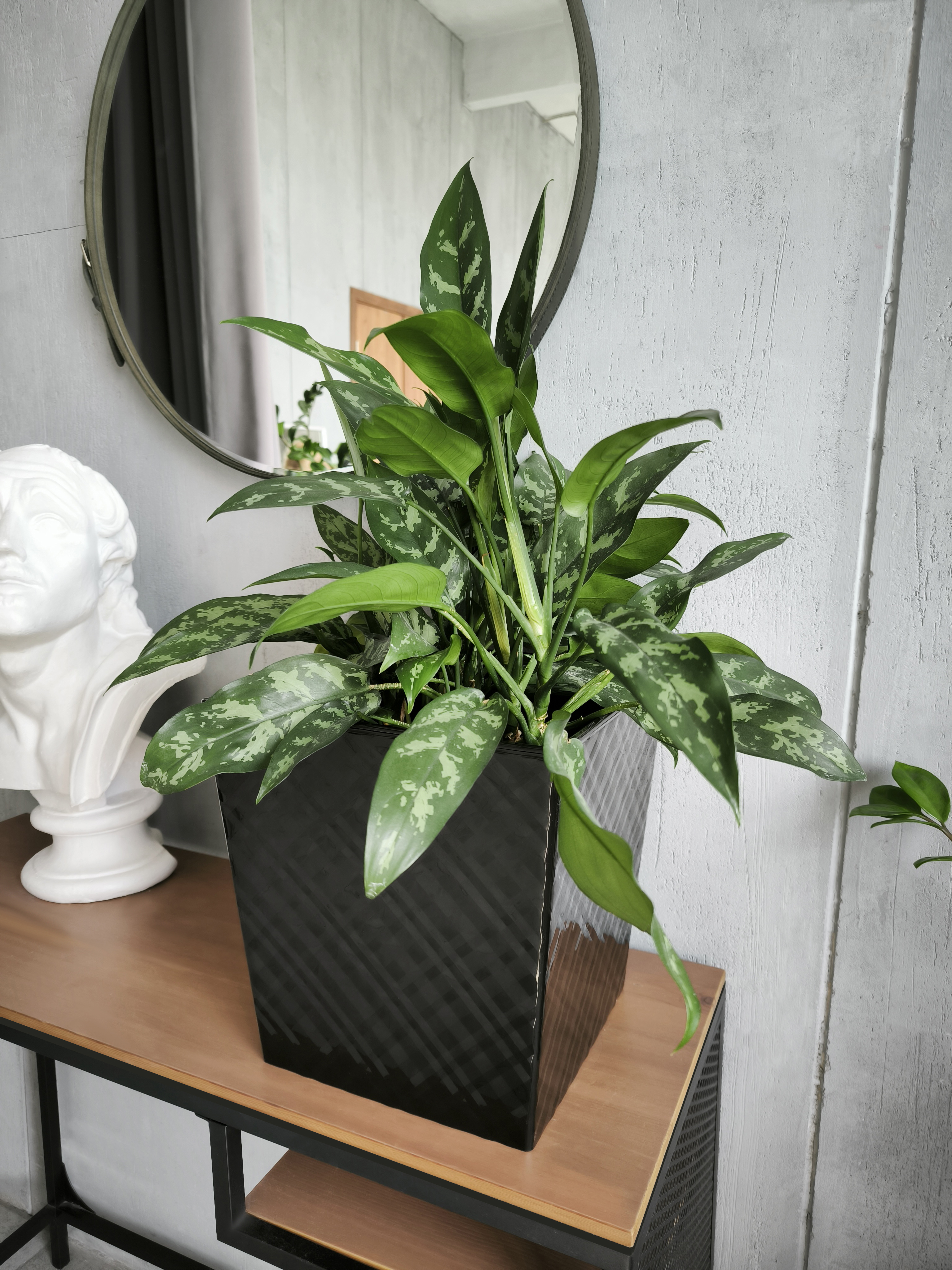 Кашпо пластм. "Manhattan Cube" 22л/вставка19л 301х301мм h315мм Оникс IG671210028 *1/4 Кашпо пластм. "Manhattan Cube" 22л/вставка19л 301х301мм h315мм Оникс IG671210028 *1/4