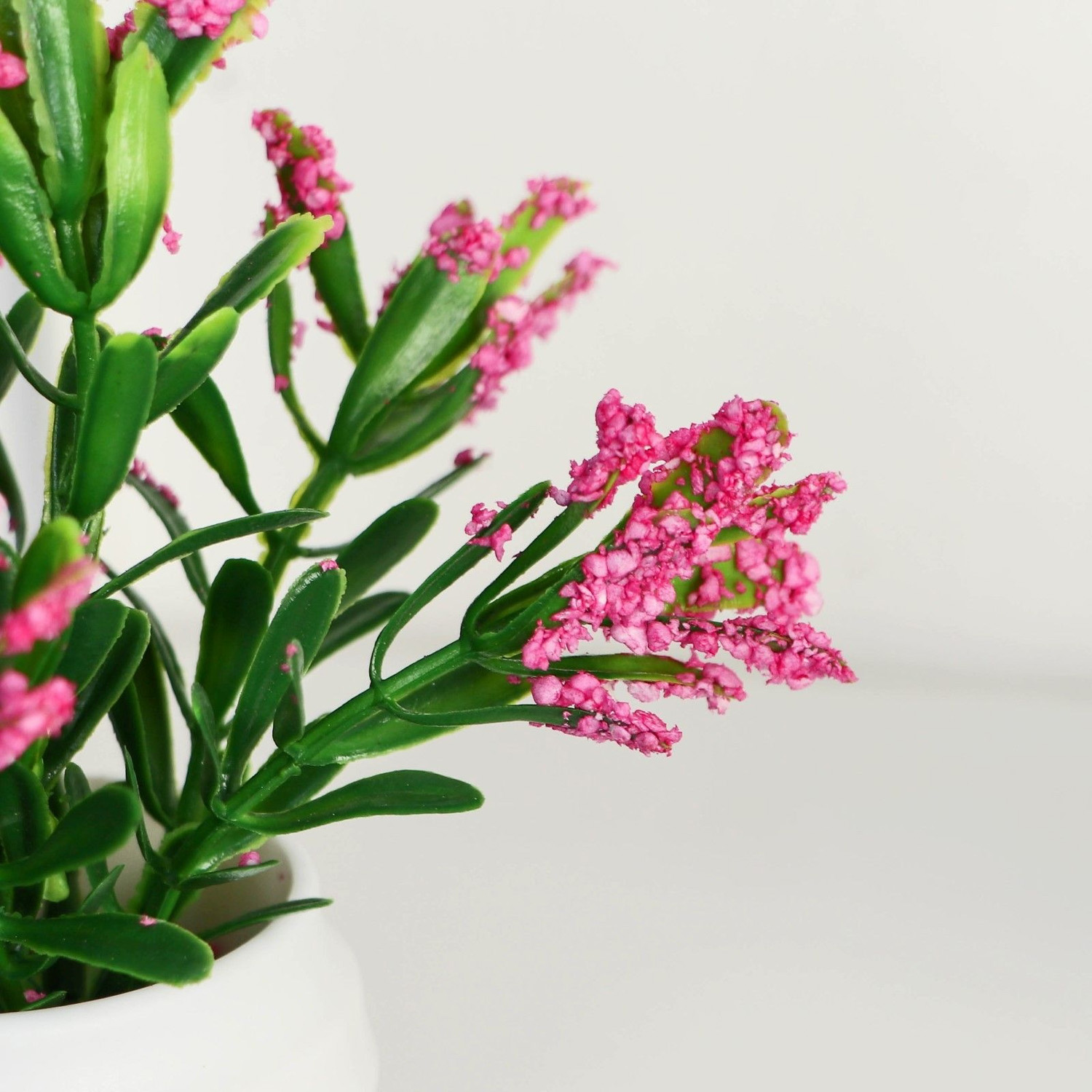 Бонсай в горшке "Крассула" 5,5х11 см, микс  9789745