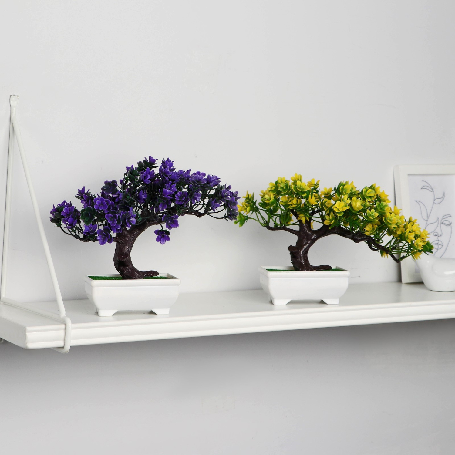 Бонсай в горшке «Молочай многоцветный» 12х16 см, микс 9789708