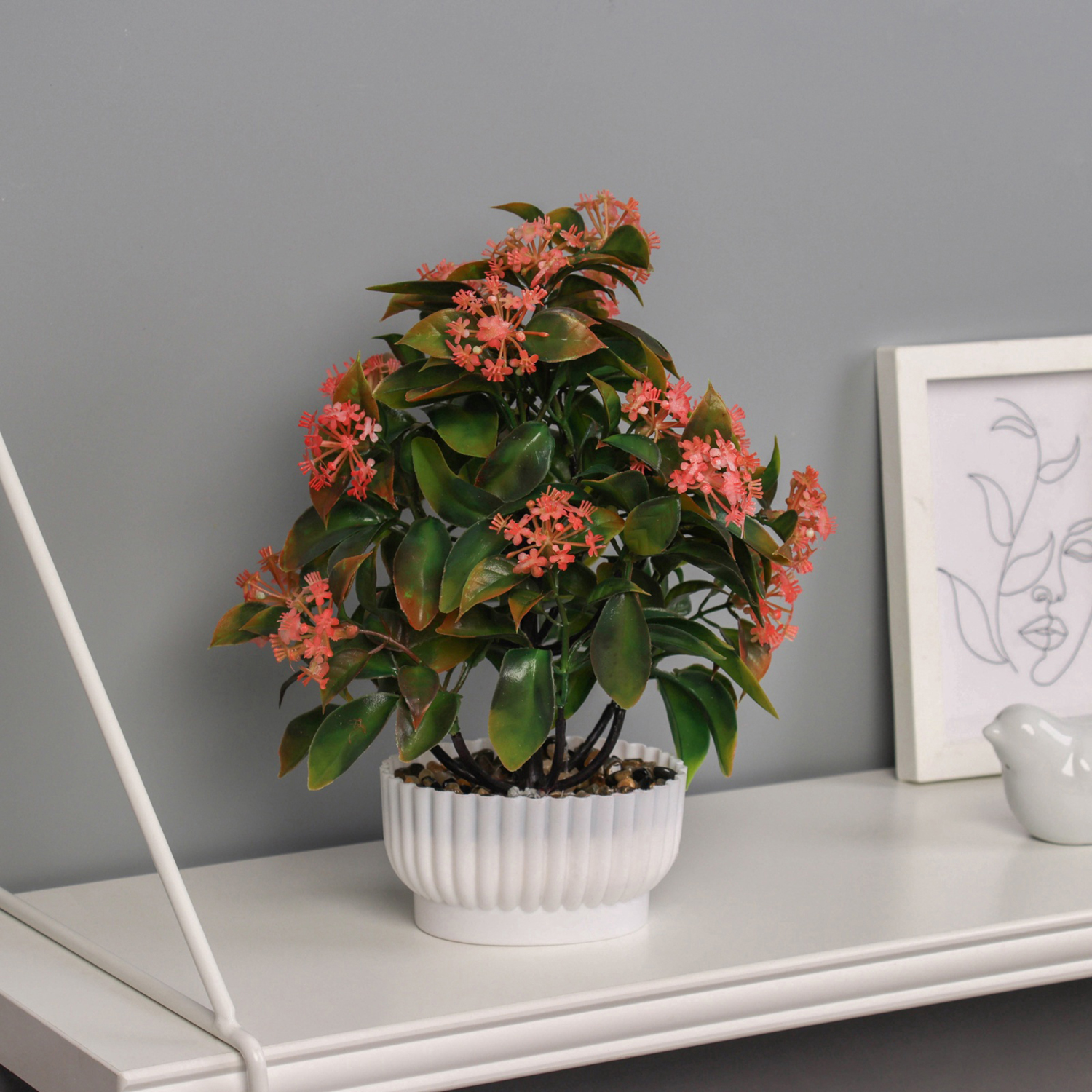 Бонсай в горшке «Хойя премиум», 10×23 см, МИКС