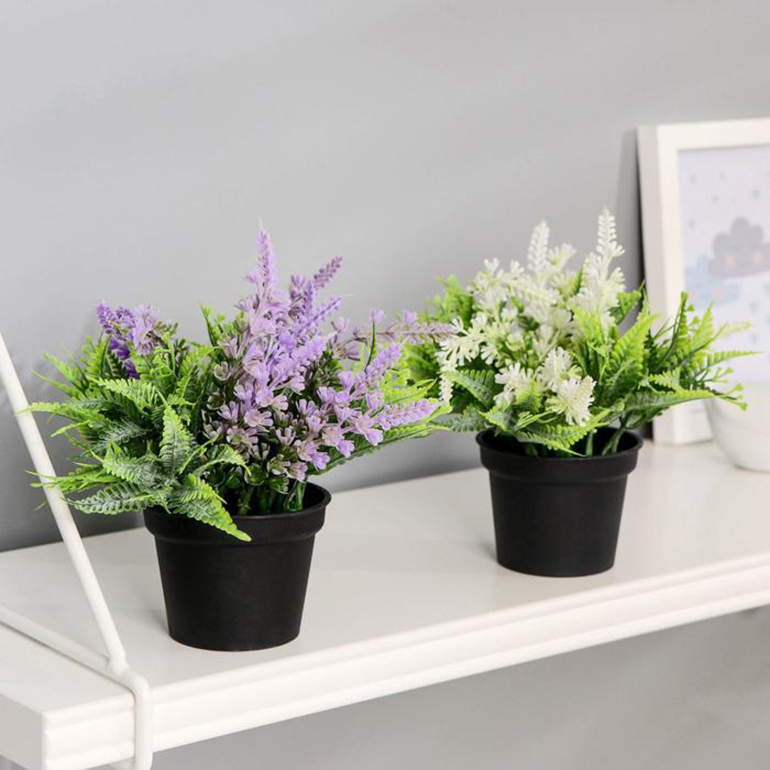 Бонсай в горшке "Лаванда с папоротником" 6,5*12 см, микс 4453393