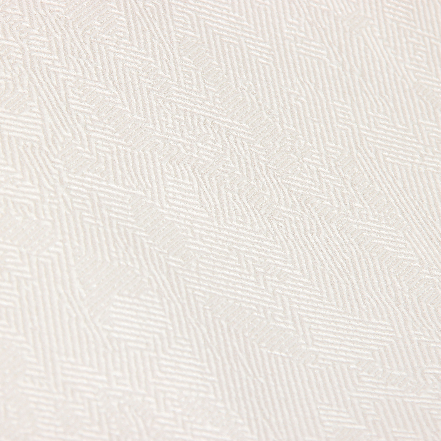 Обои флиз "HomeColor"  PROTECT-CASA фон (беж.) HC31236-21a 1,06*10м *1/8