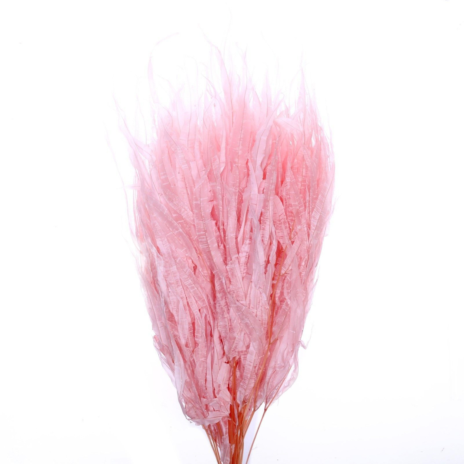 Сухоцвет Ситник, розовый, 15 шт в упаковке   7749558