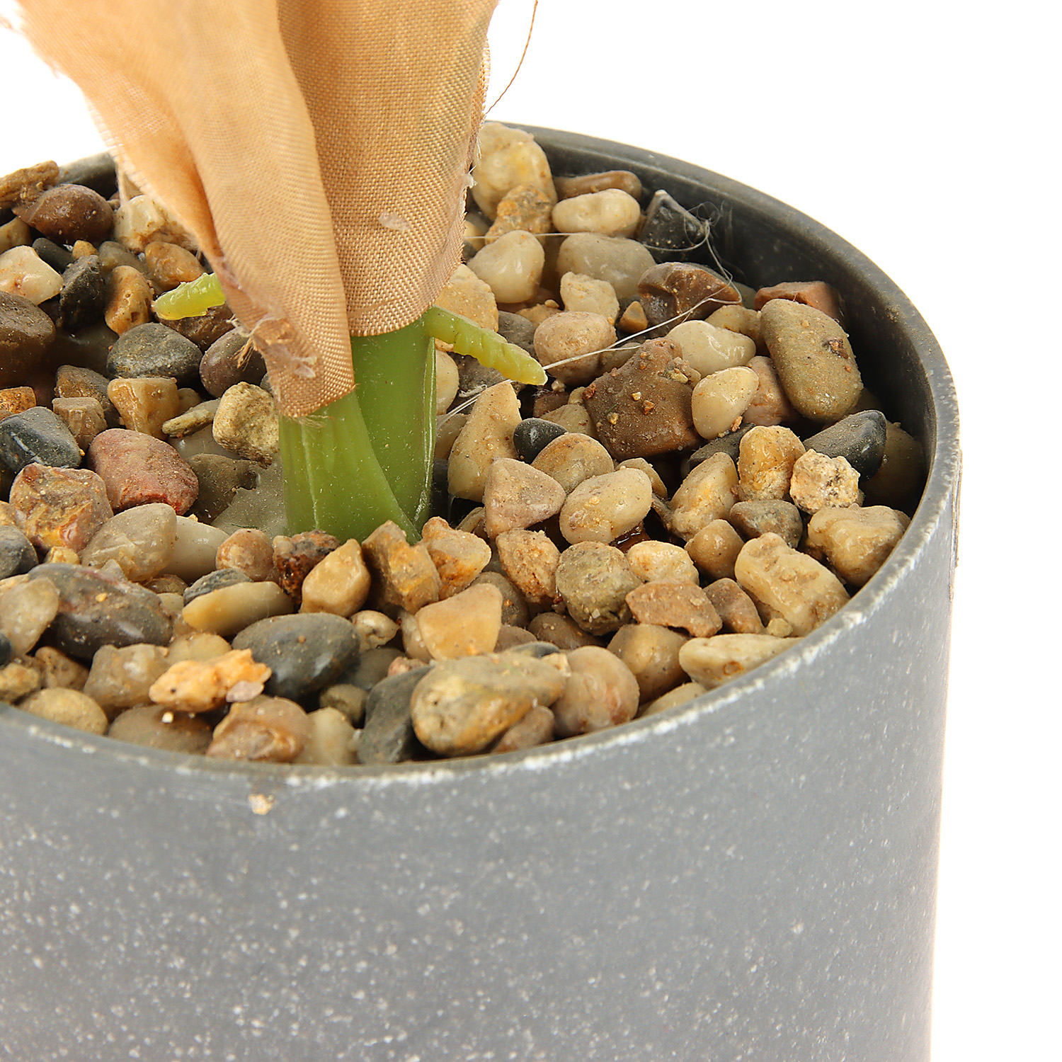 Бонсай в горшке "Диффенбахия" 9х33 см 9750510