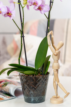 Кашпо пластм. "Manhattan Cristallo" 1,6л d верха 160мм h146мм со вставкой Ночн.река IG671110108*1/20 Кашпо пластм. "Manhattan Cristallo" 1,6л d верха 160мм h146мм со вставкой Ночн.река IG671110108*1/20