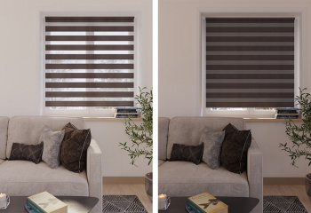 Рулонная штора Legrand День и ночь, 60х160 см, коричневый