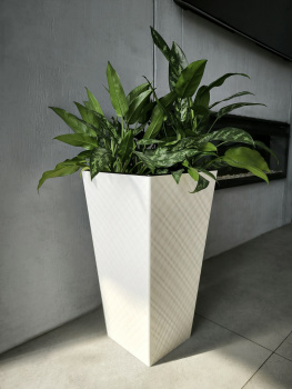 Кашпо пластм. "Manhattan Cube" высокое 34л/вставка19л 300х300мм h564мм Белосн.жасмин IG671410048*1/4 Кашпо пластм. "Manhattan Cube" высокое 34л/вставка19л 300х300мм h564мм Белосн.жасмин IG671410048*1/4