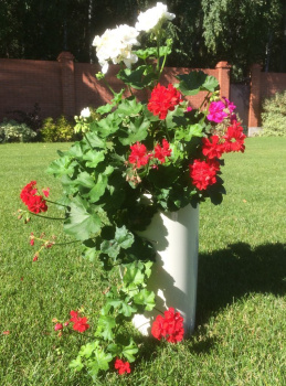 Кашпо пластм.  "Le cone" высокое 41л(вст.18л),d верх.350мм,h600мм Кремов.1200-1 "Tek.A.Tek" *1