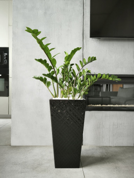 Кашпо пластм. "Manhattan Cube" высокое 34л/вставка19л 300х300мм h564мм Оникс IG671410028 *1/4 Кашпо пластм. "Manhattan Cube" высокое 34л/вставка19л 300х300мм h564мм Оникс IG671410028 *1/4