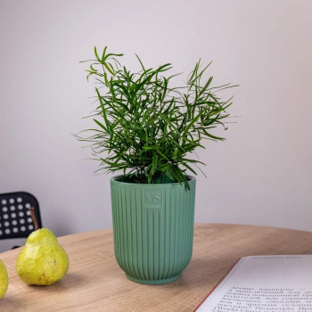 Кашпо пластм. "Эйва" 2,4л d верха 150мм h170мм со вставкой Зеленый АМО-2,4-08 ("VipSet") *1/12