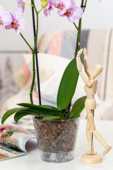 Кашпо пластм. "Manhattan Cristallo" 1,6л d верха 160мм h146мм со вставкой Проз.вода IG671110999*1/20 Кашпо пластм. "Manhattan Cristallo" 1,6л d верха 160мм h146мм со вставкой Проз.вода IG671110999*1/20