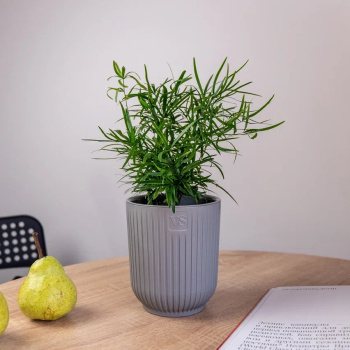 Кашпо пластм. "Эйва" 2,4л d верха 150мм h170мм со вставкой Серый АМО-2,4-03 ("VipSet") *1/12