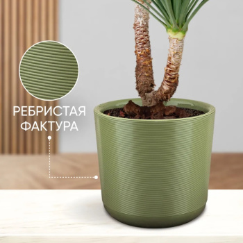 Кашпо пластм. "Лион" 16,6л d верха 300мм h300мм со вставкой 14,5л Папоротник ЛИ30-26*1